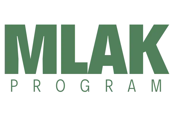 preparazione atletica sport da combattimento e muaythai a bologna